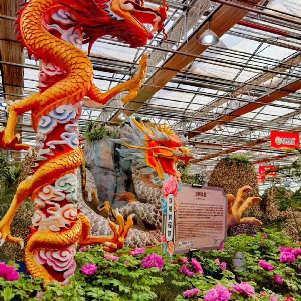 內蒙古通遼和佑首屆農業(yè)嘉年華