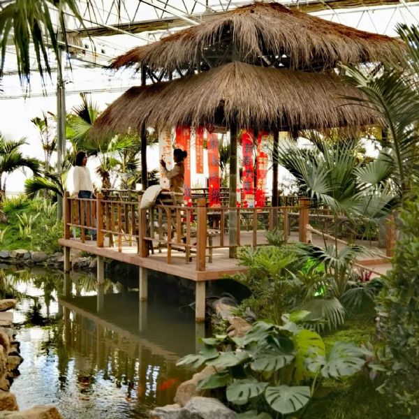 內蒙古通遼和佑首屆農業(yè)嘉年華