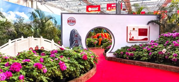 內蒙古通遼和佑首屆農業嘉年華