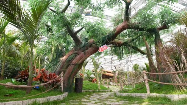 內蒙古通遼和佑首屆農業嘉年華