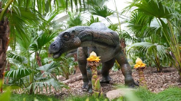 內蒙古通遼和佑首屆農業嘉年華