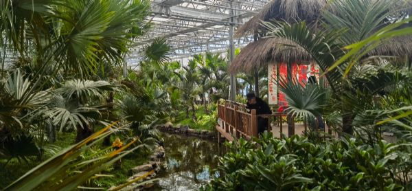 內蒙古通遼和佑首屆農業嘉年華