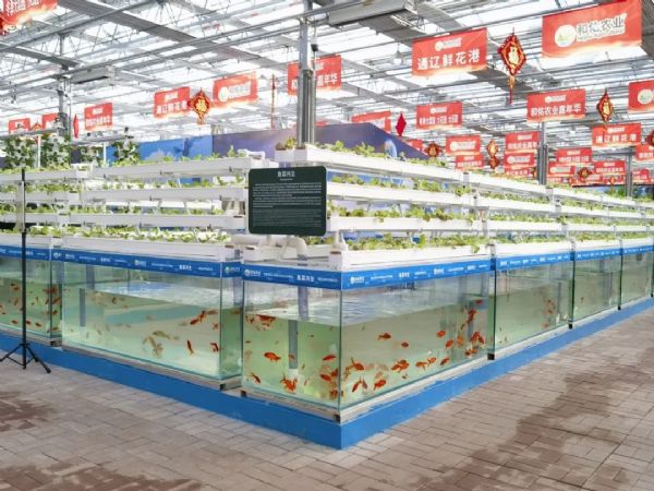 內(nèi)蒙古通遼和佑首屆農(nóng)業(yè)嘉年華