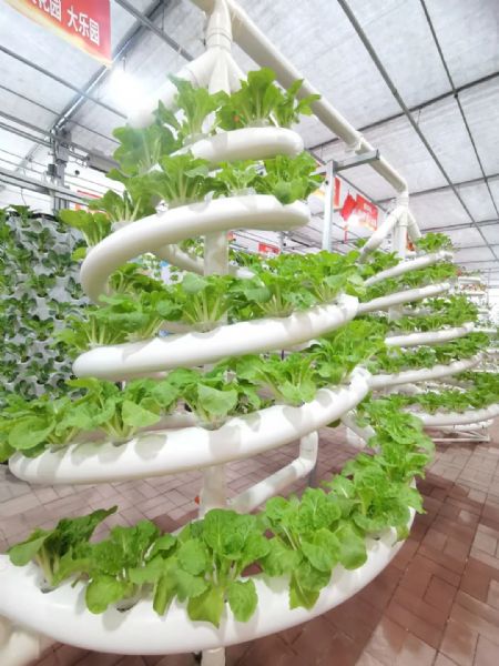 內(nèi)蒙古通遼和佑首屆農(nóng)業(yè)嘉年華