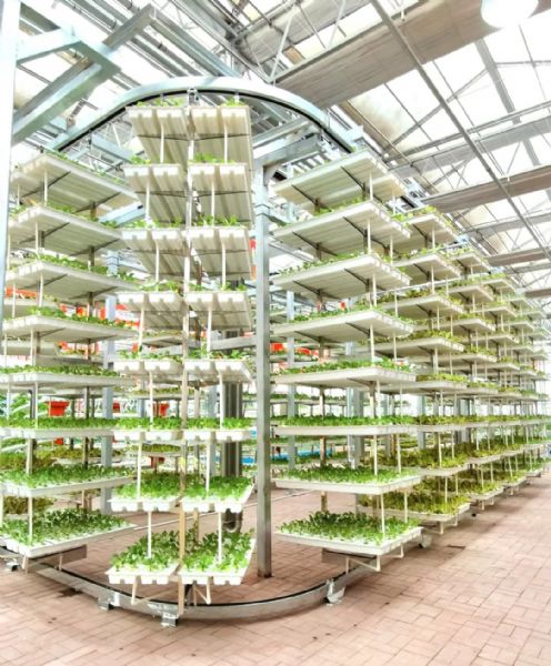 內(nèi)蒙古通遼和佑首屆農(nóng)業(yè)嘉年華