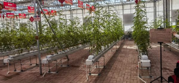 內(nèi)蒙古通遼和佑首屆農(nóng)業(yè)嘉年華