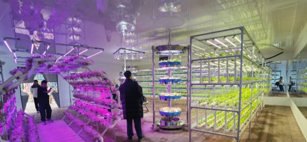 內(nèi)蒙古通遼和佑首屆農(nóng)業(yè)嘉年華